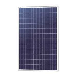 EUROLUX 200WP Polycrystalline Silicon Solar Module, 24VDC