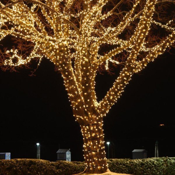 EUROLUX LED Fairy Lights With 8 Function Control, Clear Cool White, 10m - Pack of 200