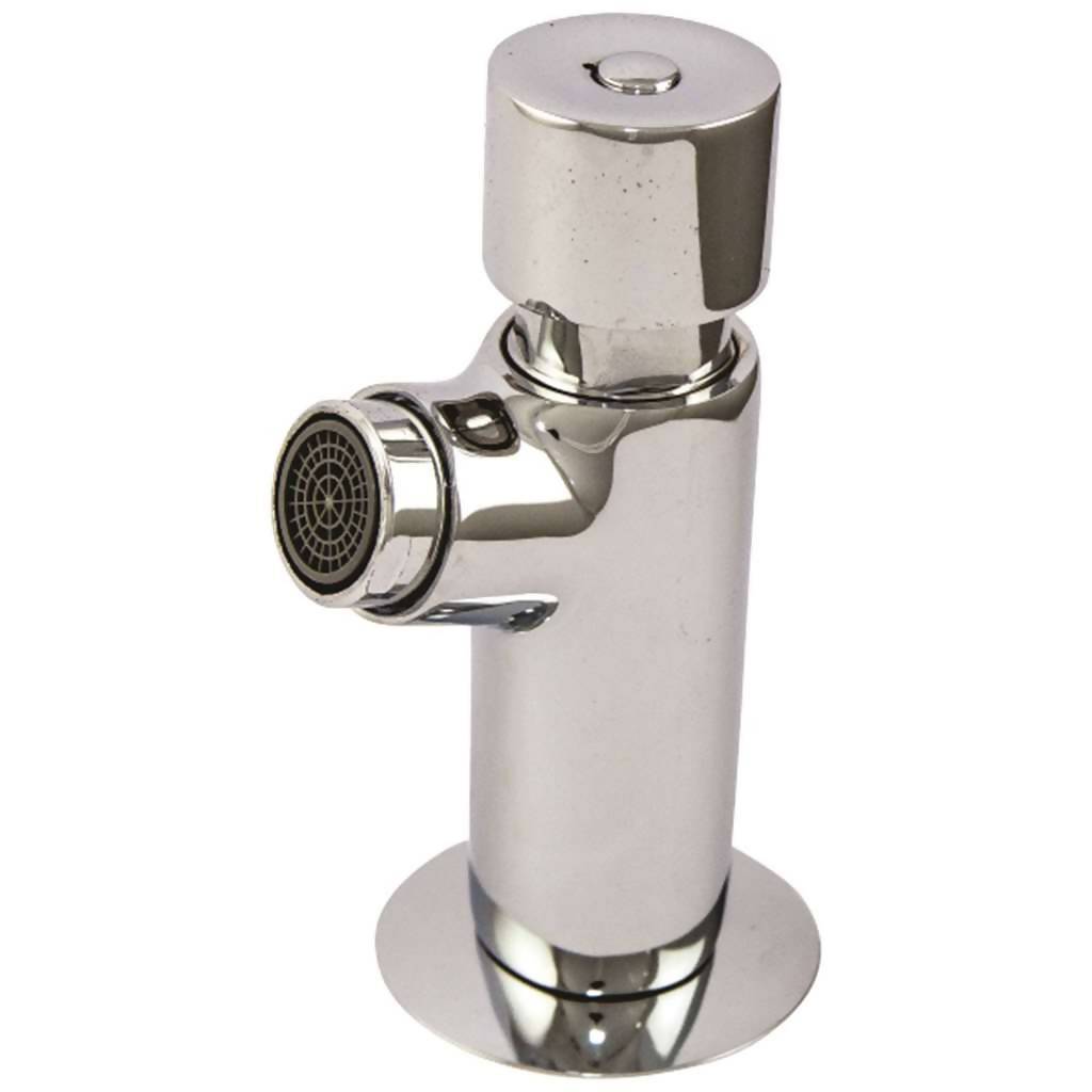 Demand & Metering Bib Tap, Stainless Steel