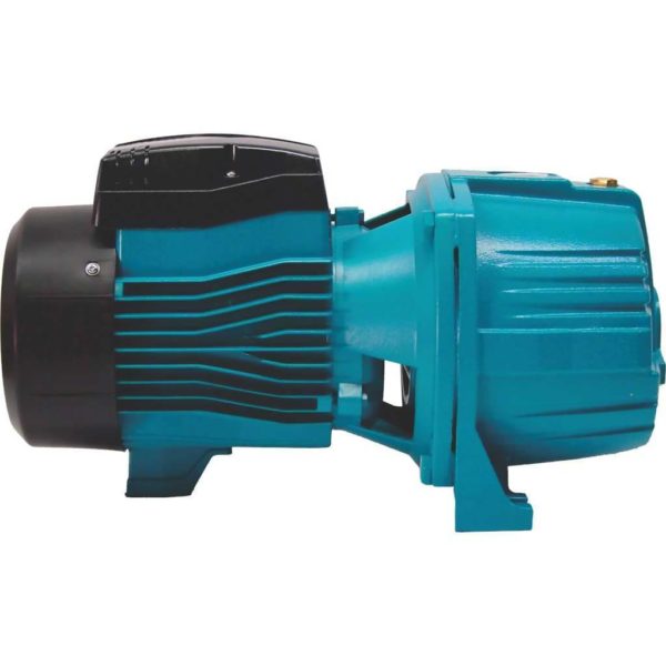 LEO AJDM75/4H Deep Well Jet Pump (0.75kW, 1.0hp, 220V)